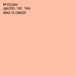 #FDC0A4 - Wax Flower Color Image